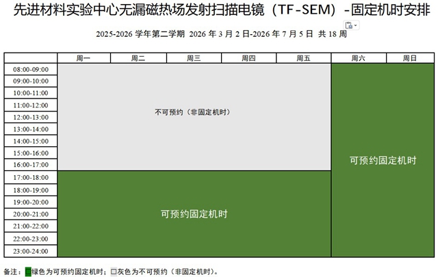 03 TF-SEM.jpg