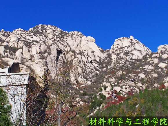 澳门威尼斯人网址